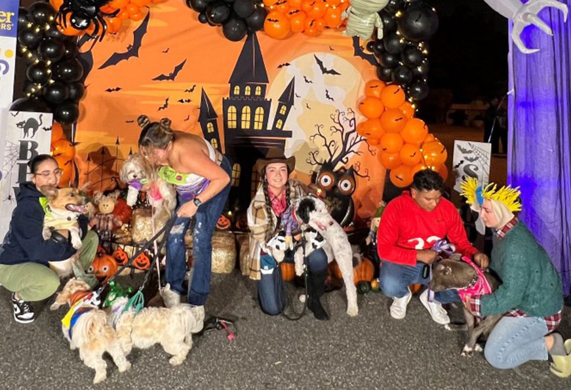 Trick or Treat Brewster Realtors