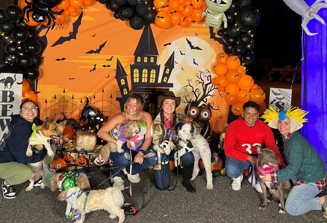 Trick or Treat Brewster Realtors